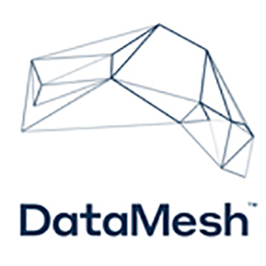 DataMesh Group